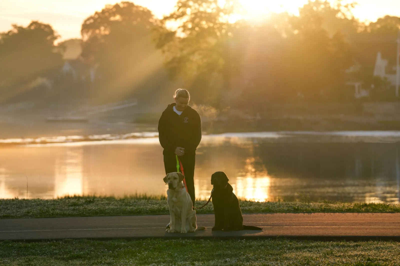 A serene morning walk with two dogs by a lake as the sun rises, casting warm light.