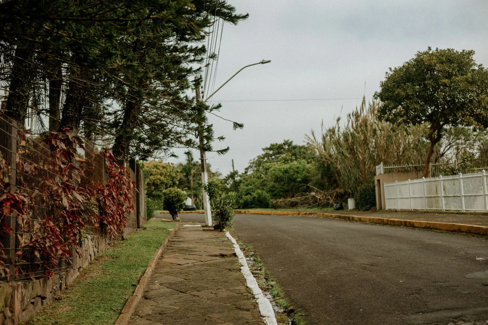 A serene suburban street lined with trees and fences on a cloudy day, exuding calmness.