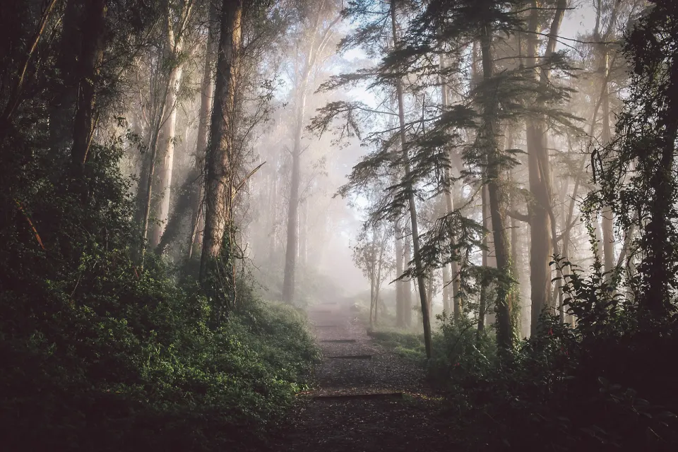 tumblr_mjs7w6zIHV1rkz363o5_1280.jpg